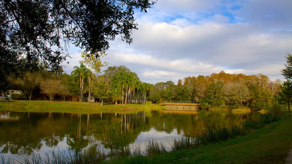 Big Cat Rescue showing a pond and a park