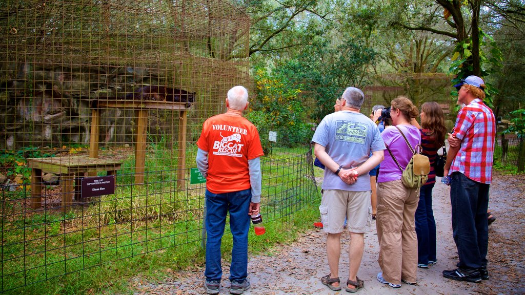 Big Cat Rescue featuring zoo animals as well as a small group of people