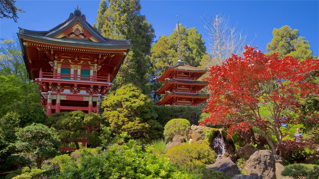 Jardín de Té Japonés ofreciendo un jardín y patrimonio de arquitectura