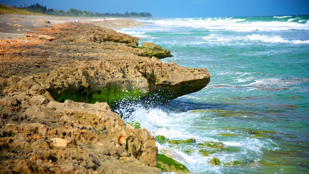 Jupiter Beach mostrando costa escarpada, vista general a la costa y olas