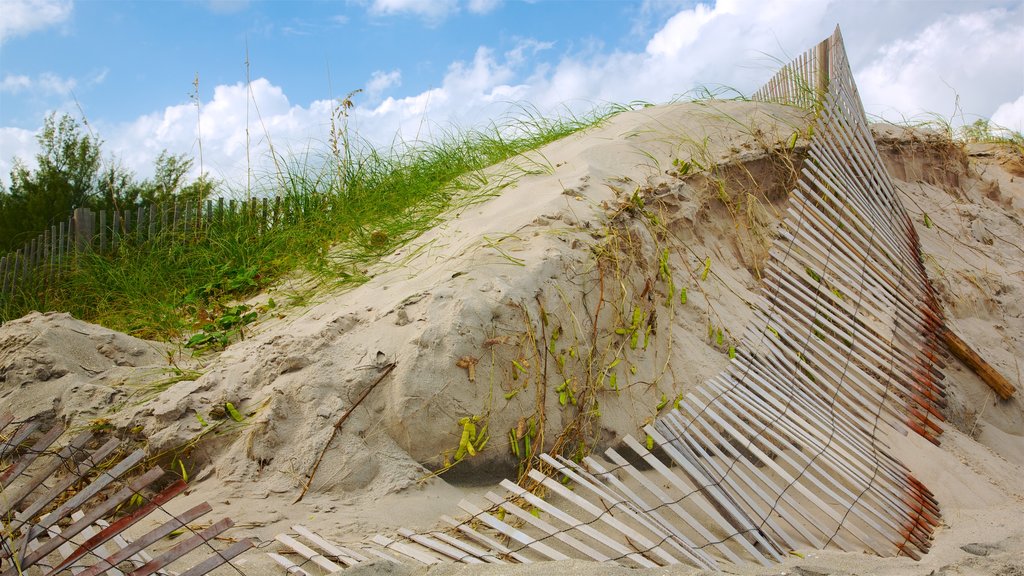 Jupiter Beach showing a sandy beach