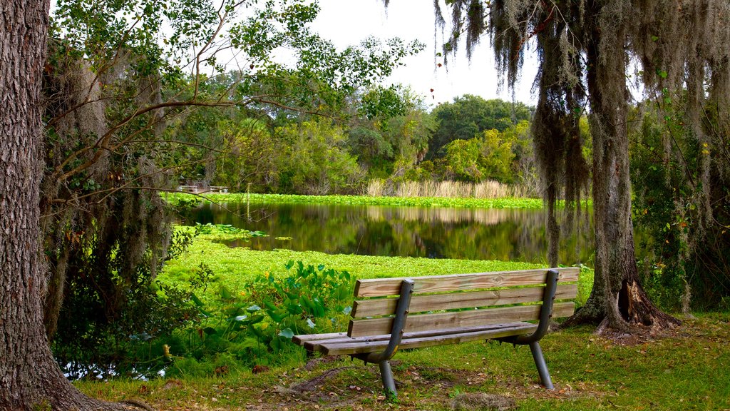 Al Lopez Park showing a pond and a park