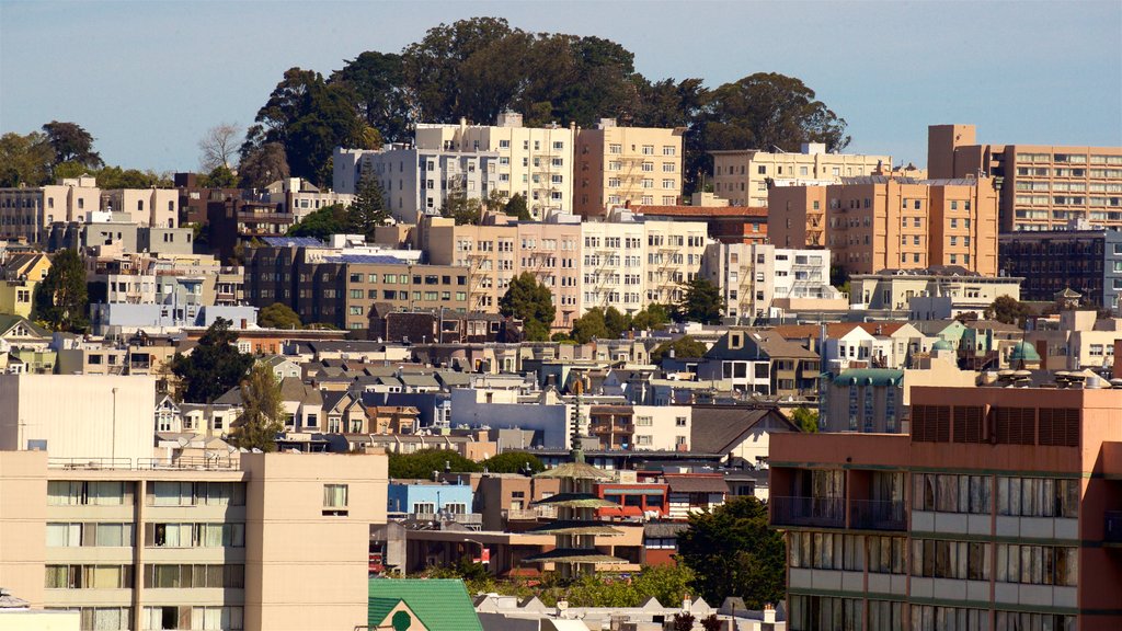 Alamo Square mostrando uma cidade e paisagem