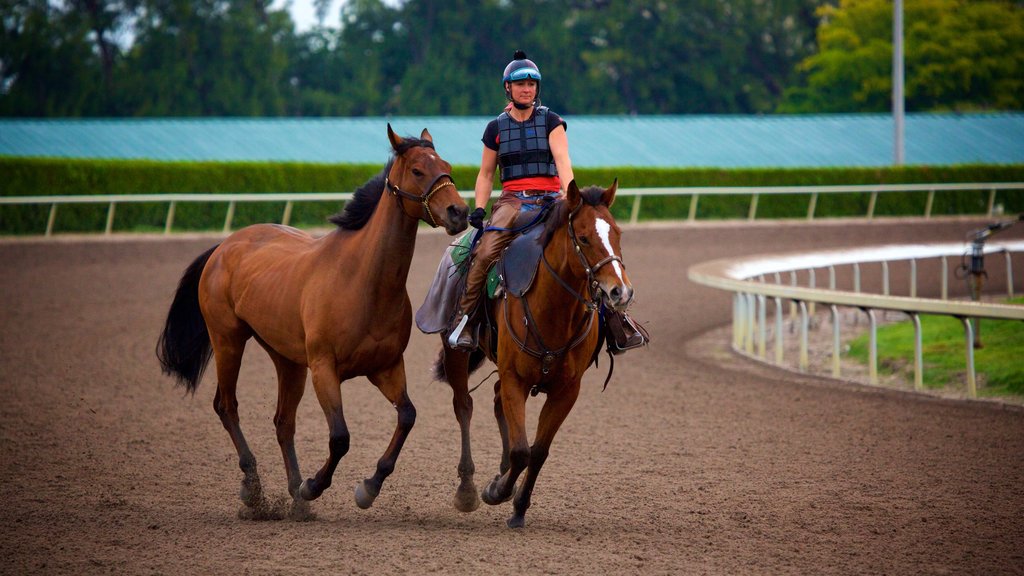 Gulfstream Park Racing and Casino showing land animals as well as an individual femail