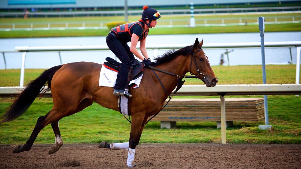 Gulfstream Park som omfatter landdyr såvel som en kvinde