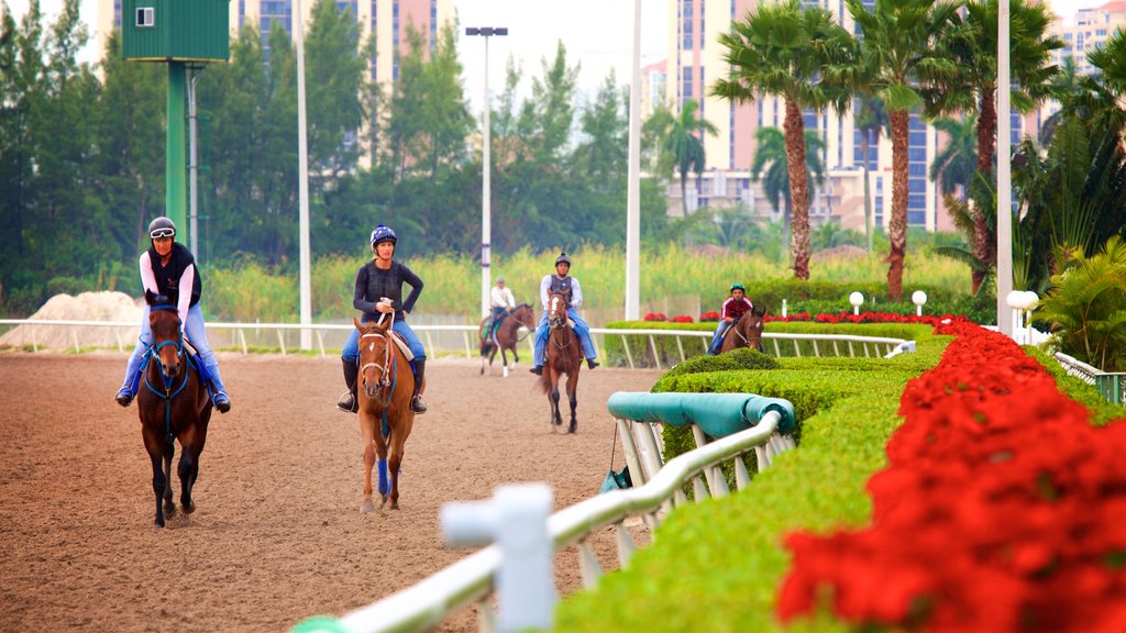 Gulfstream Park que incluye animales terrestres y también un pequeño grupo de personas