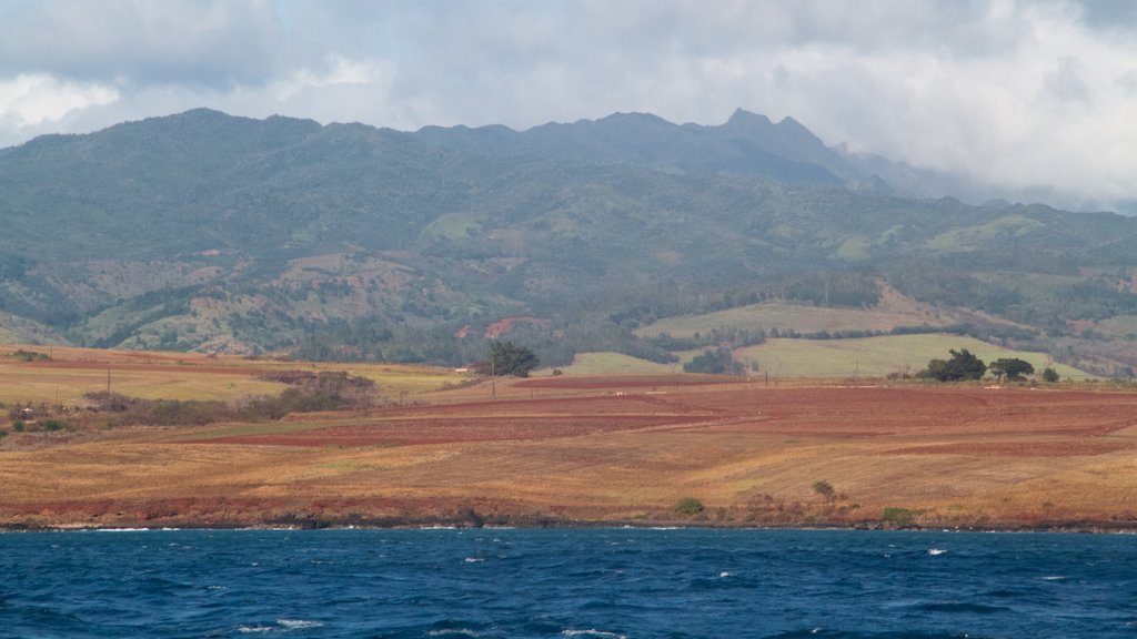 Kauai montrant paysages côtiers et paysages paisibles