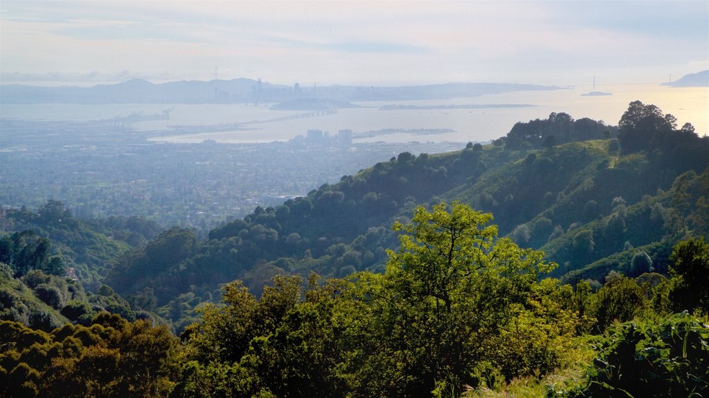 Berkeley showing tranquil scenes and landscape views