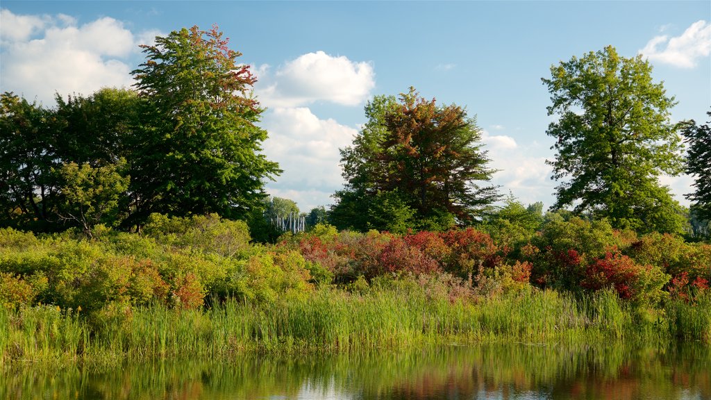 Erie which includes wetlands and tranquil scenes