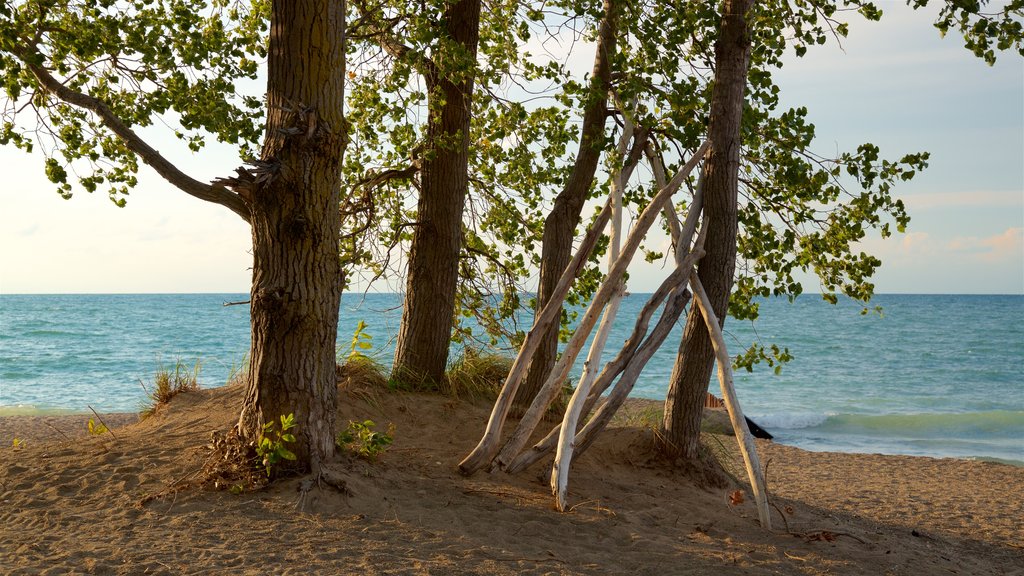 Erie que inclui uma praia de areia, paisagens litorâneas e um pôr do sol