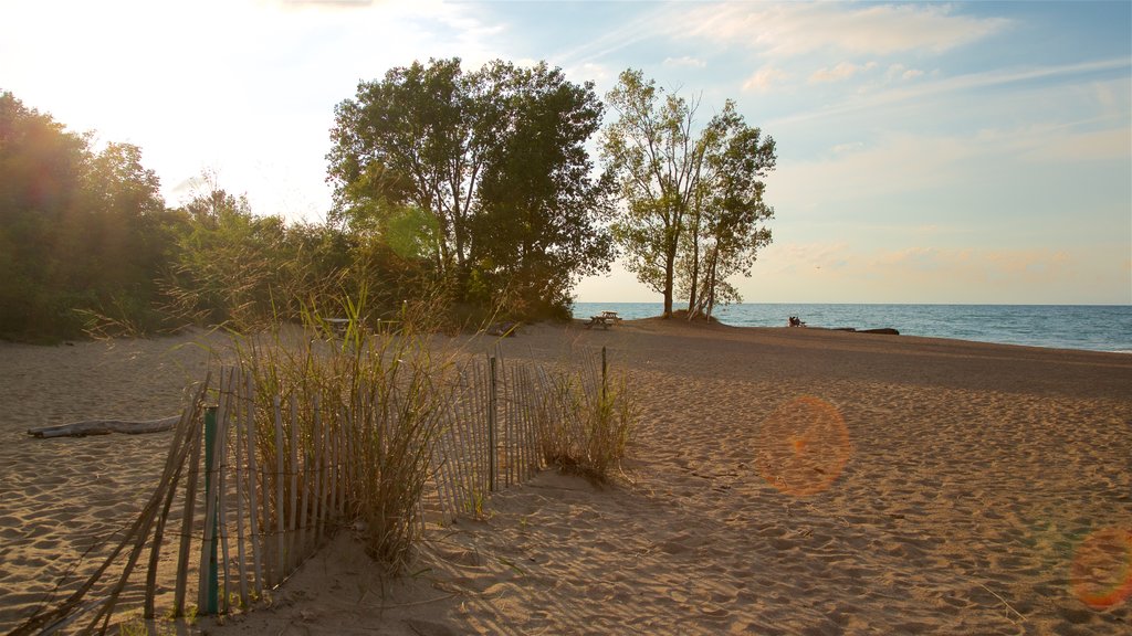 Erie caracterizando uma praia de areia, paisagens litorâneas e um pôr do sol