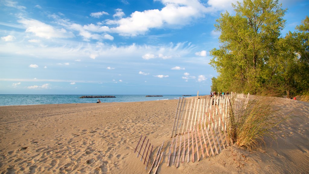 Erie featuring a sandy beach and general coastal views