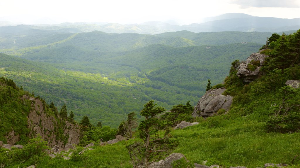 Grandfather Mountain which includes landscape views and tranquil scenes