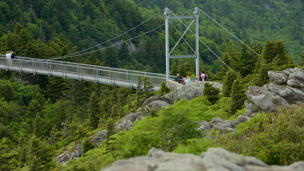 Grandfather Mountain which includes tranquil scenes and a bridge as well as a small group of people