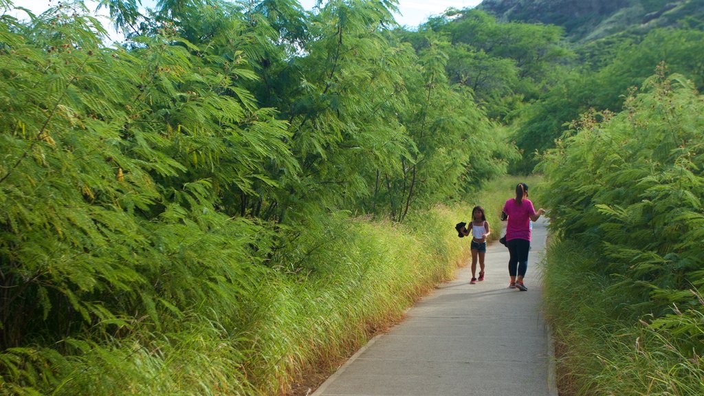 Diamond Head showing a park as well as a family