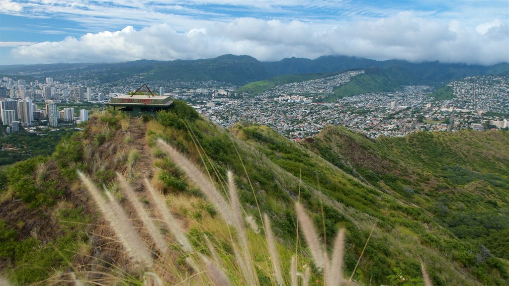 Diamond Head bevat vergezichten, een stad en landschappen