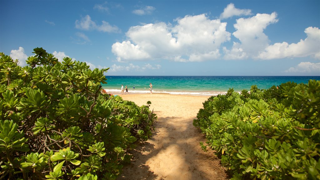 Keawakapu Beach which includes a sandy beach and general coastal views