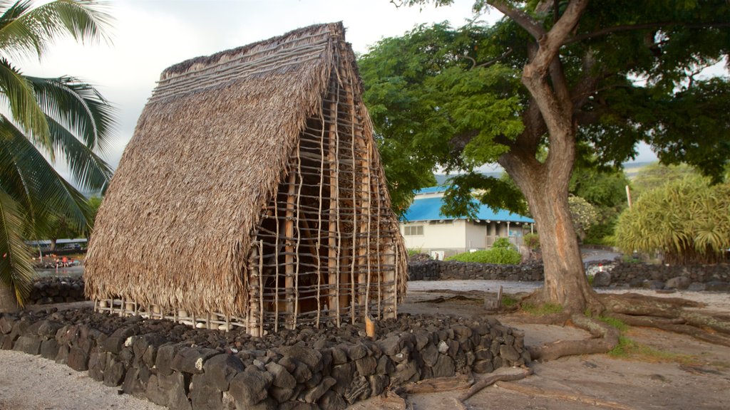 Pu\'uhonua o Honaunau National Historical Park which includes tropical scenes and indigenous culture