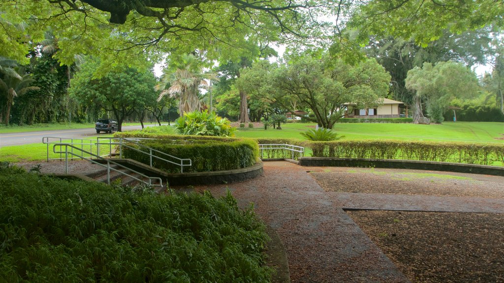 Liliuokalani Park and Gardens mostrando un jardín