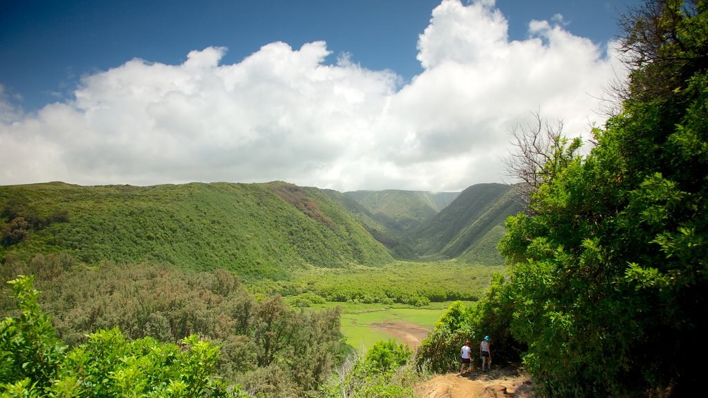 Panorámica de Pololu Valley que incluye vista panorámica, una garganta o cañón y escenas tranquilas