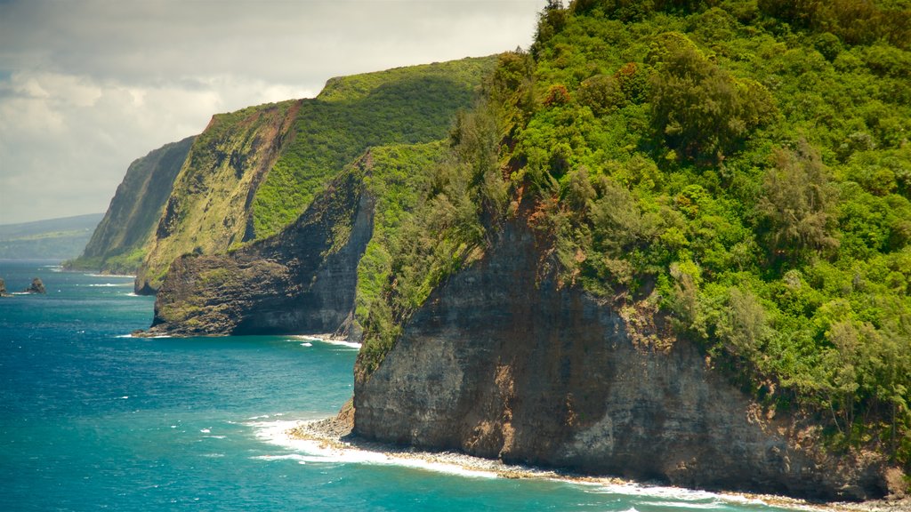 Pololu Valley Overlook featuring general coastal views and rugged coastline