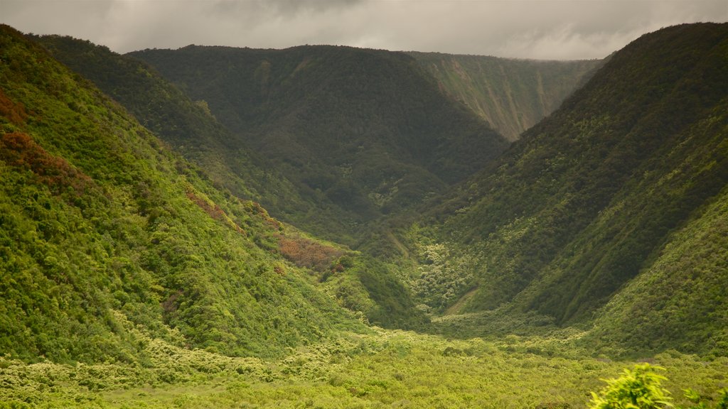 Panorámica de Pololu Valley que incluye una garganta o cañón y vista panorámica