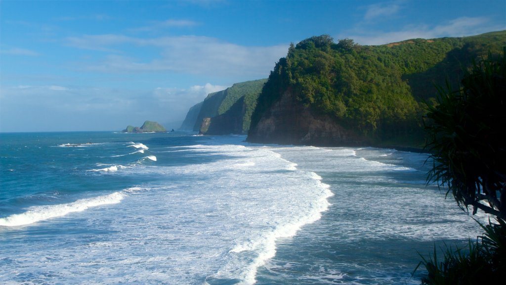 Pololu Valley Overlook which includes general coastal views, rugged coastline and surf