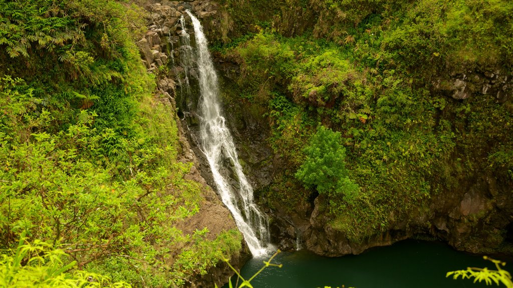 Isla de Maui mostrando un lago o espejo de agua y una cascada