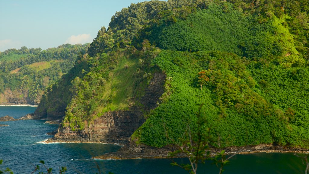 Île de Maui mettant en vedette paysages côtiers et côte escarpée