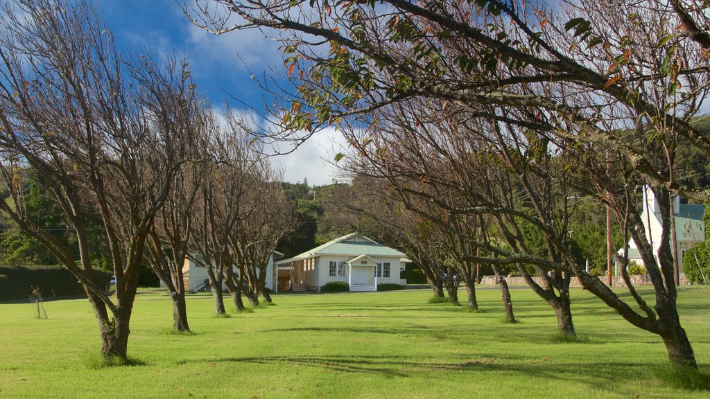 Waimea which includes a park and a house