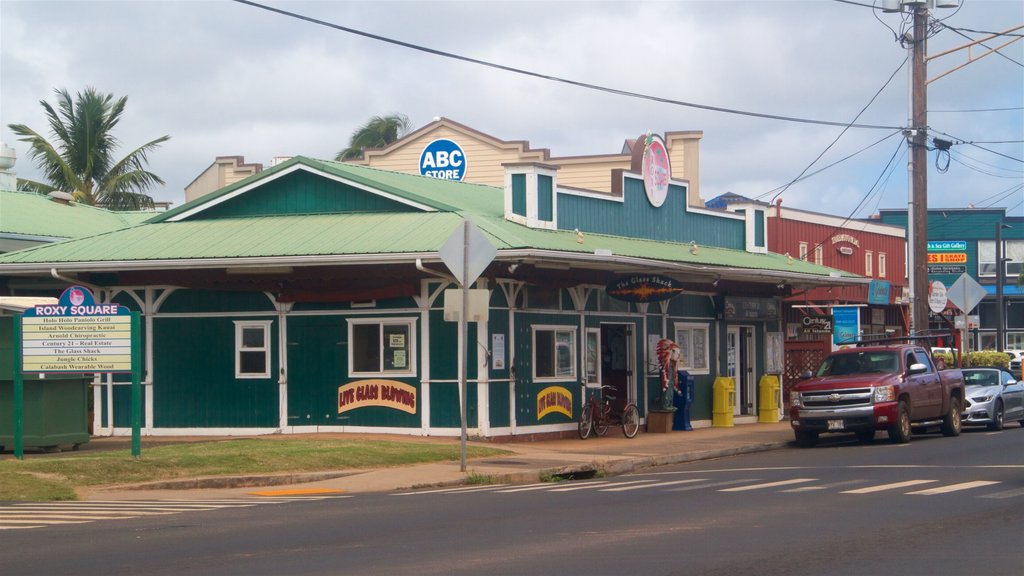 Kapaa showing a small town or village