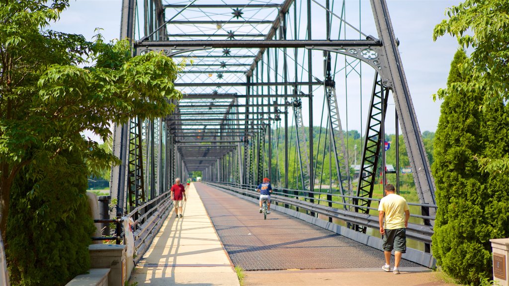 Harrisburg ofreciendo ciclismo, un puente y un río o arroyo