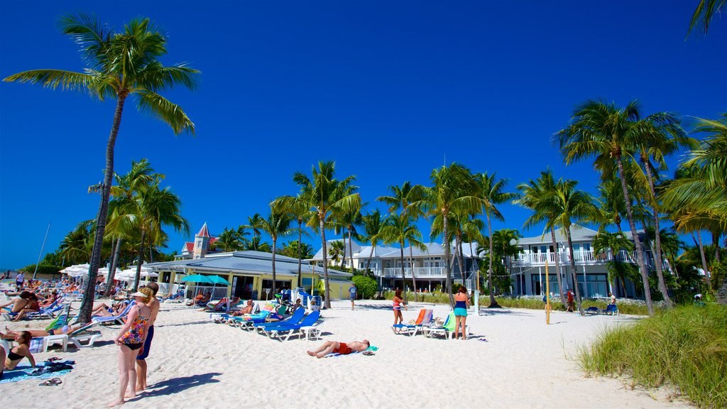 Barrio de South Beach que incluye vistas generales de la costa, una playa de arena y escenas tropicales