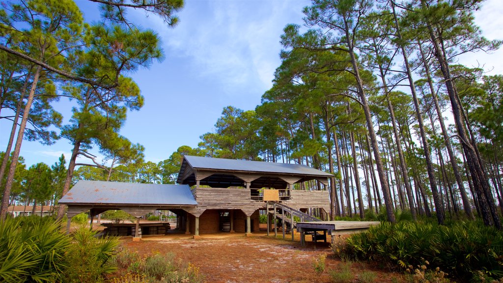 St. Andrews State Park mostrando una casa y situaciones tranquilas