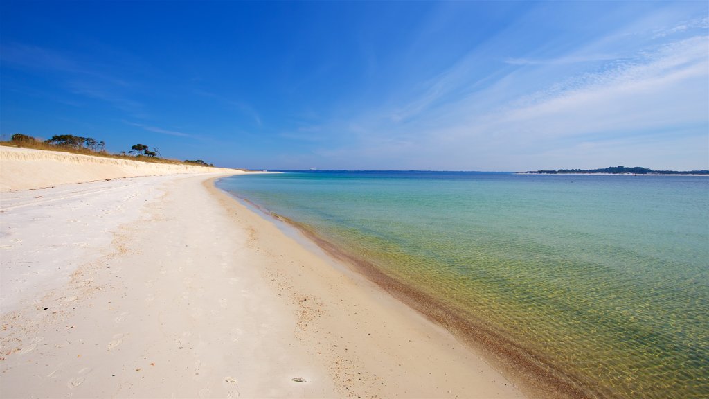 St. Andrews State Park showing a sandy beach, general coastal views and landscape views