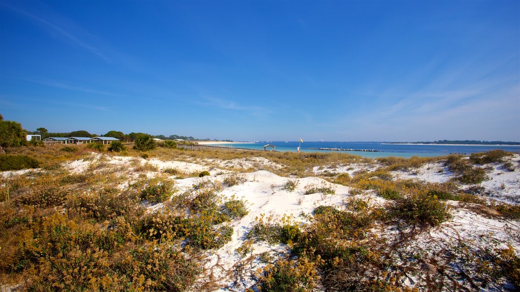 St. Andrews State Park showing general coastal views and a beach