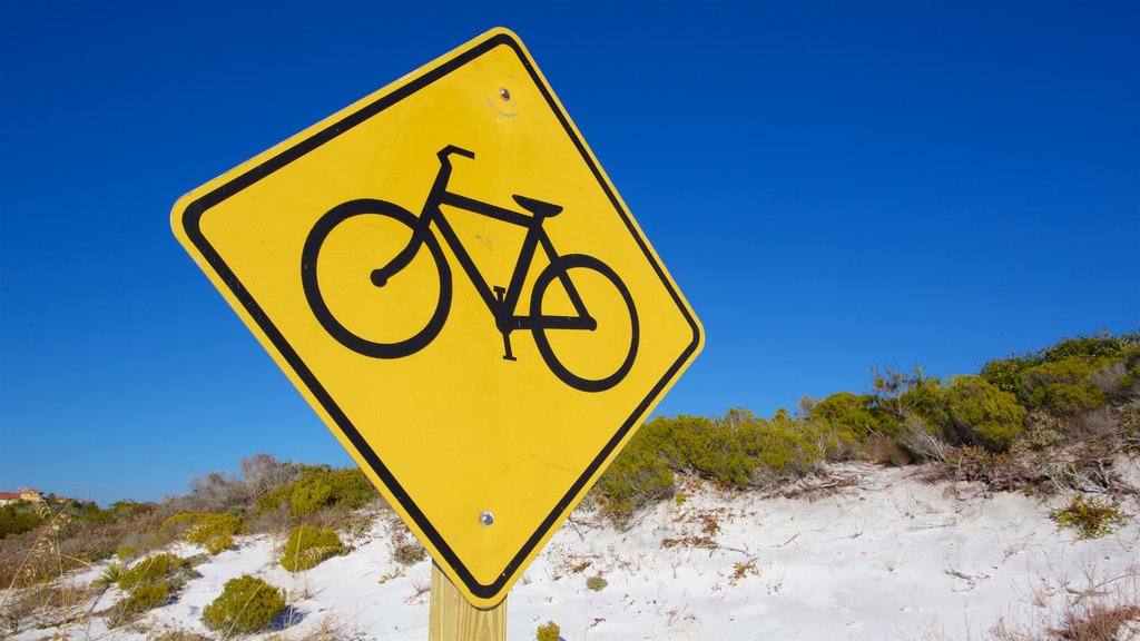 Henderson Beach State Park showing a sandy beach and signage