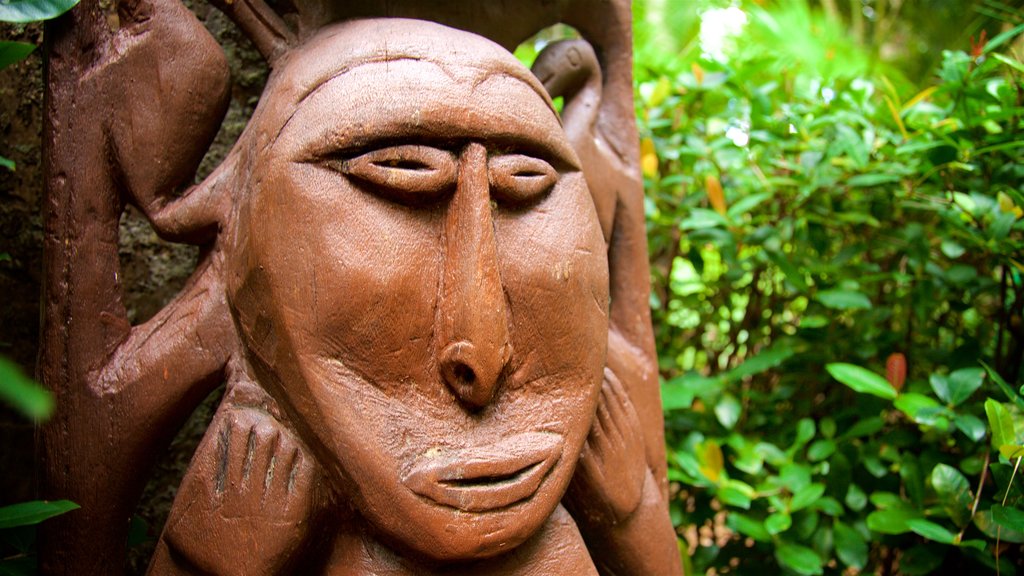 Sarasota Jungle Gardens featuring indigenous culture