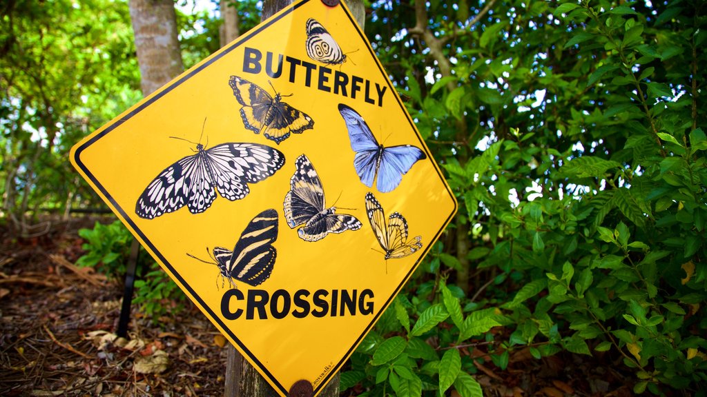 Manatee Park which includes signage