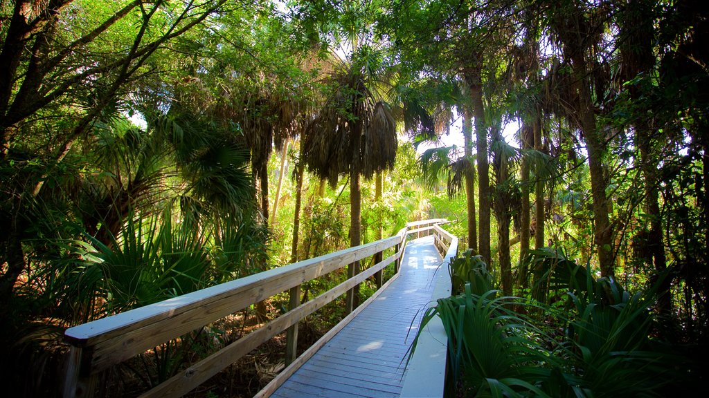 Manatee Park showing a bridge and a garden