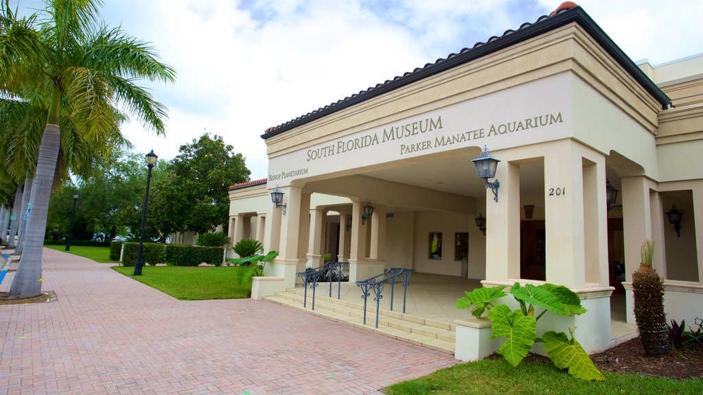 South Florida Museum