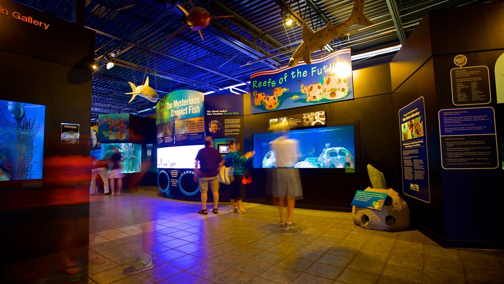 Mote Marine Aquarium featuring interior views and marine life as well as a small group of people