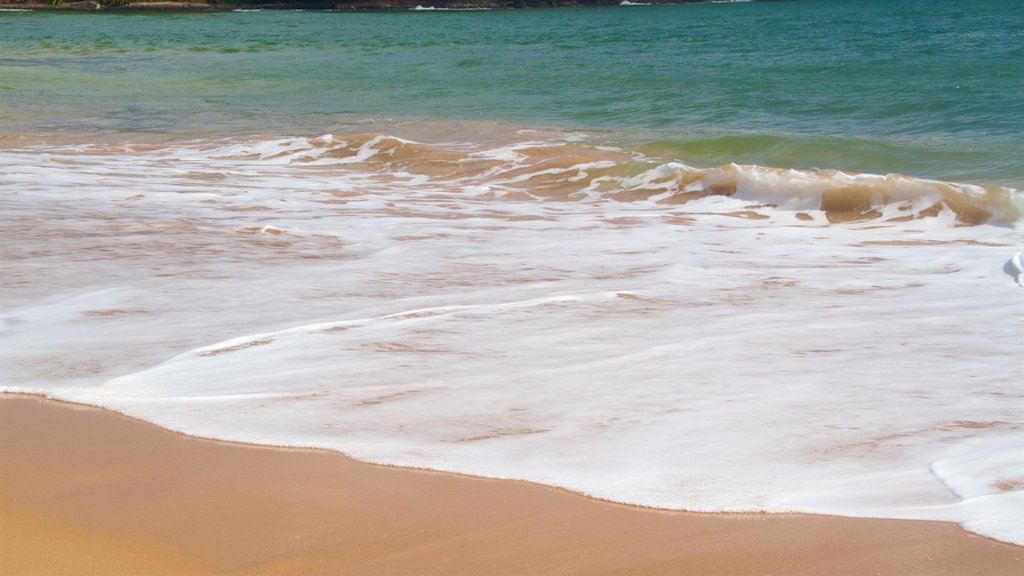 Kalapaki-strand toont algemene kustgezichten en een strand