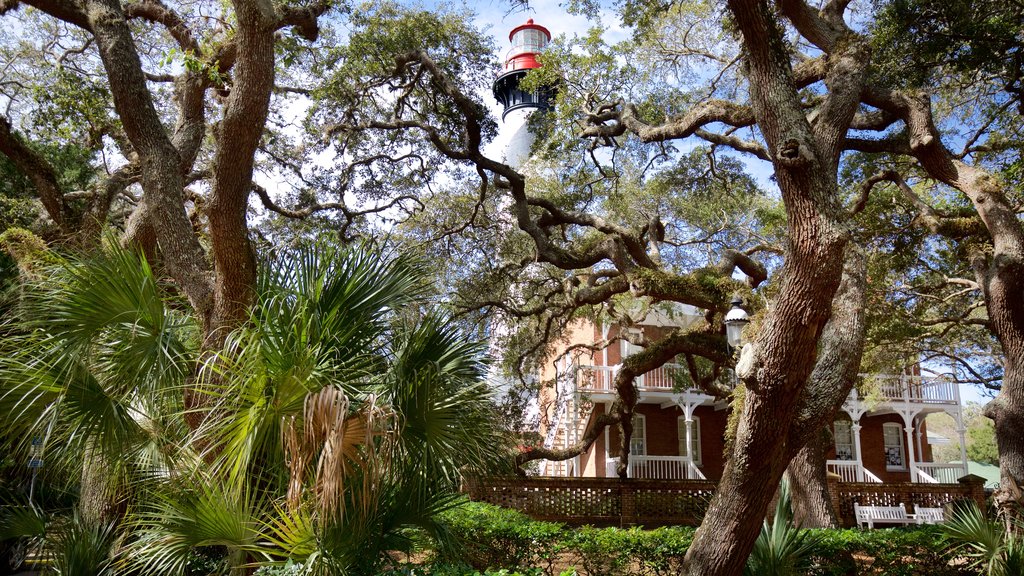 St. Augustine Lighthouse and Museum showing a garden, a house and a lighthouse