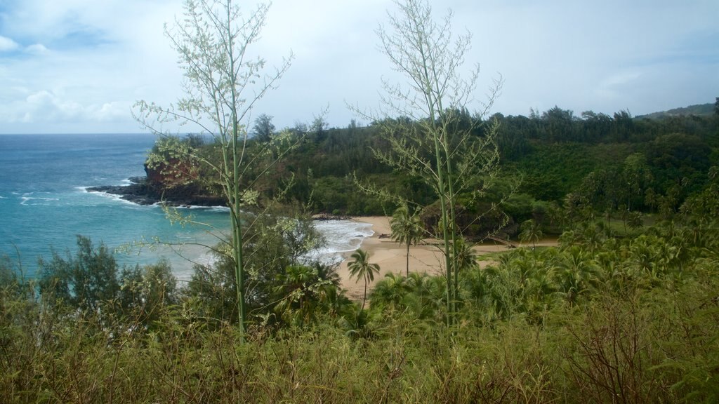 Allerton Botanical Garden ofreciendo vistas generales de la costa y una playa