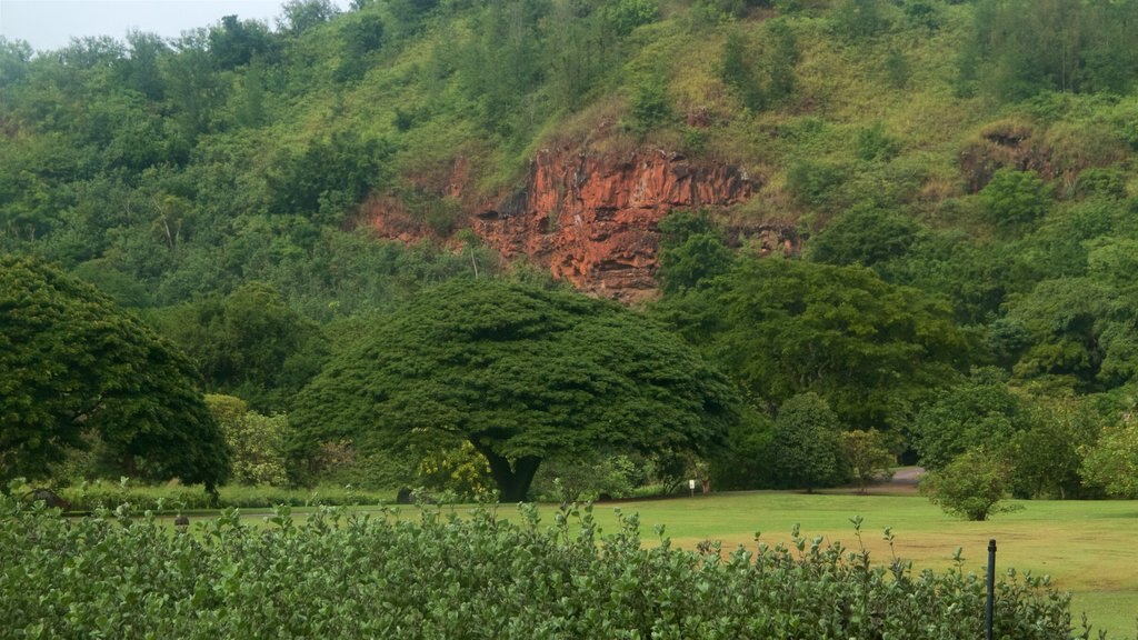 Allerton Botanical Garden featuring tranquil scenes and a garden