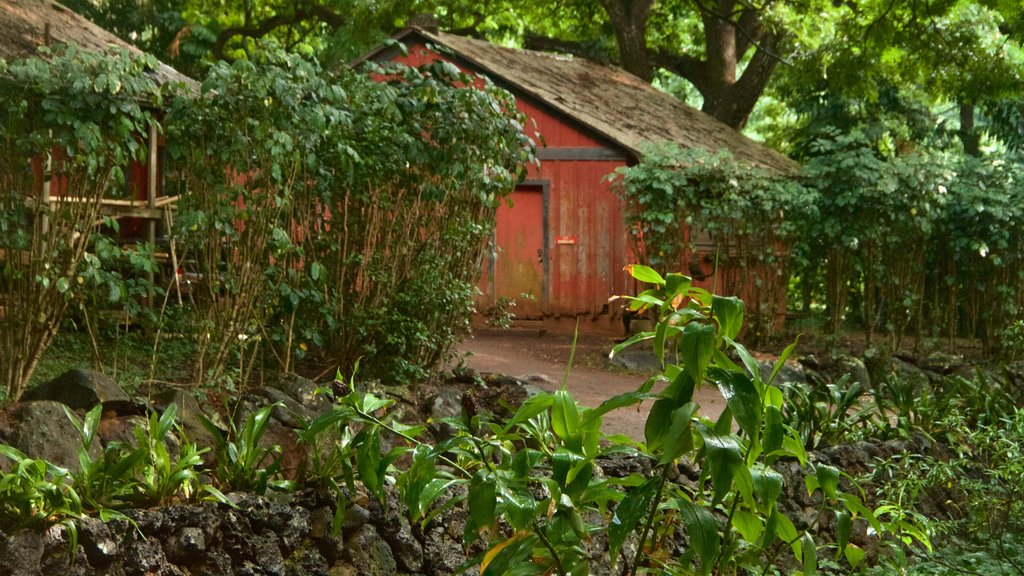 Allerton botaniske hage som viser park