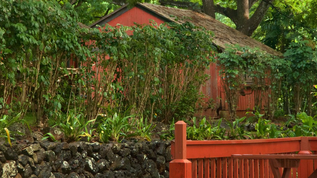 Allerton Botanical Garden featuring a park