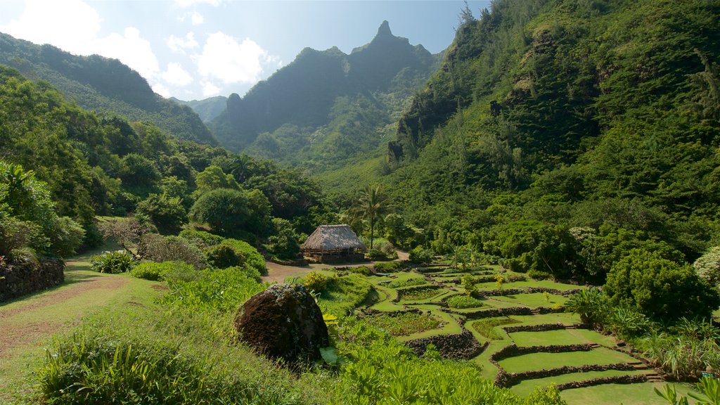 Limahuli Gardens and Reserve ofreciendo montañas, vistas de paisajes y un barranco o cañón