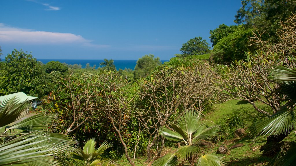 Limahuli Gardens and Reserve som viser udsigt over kystområde